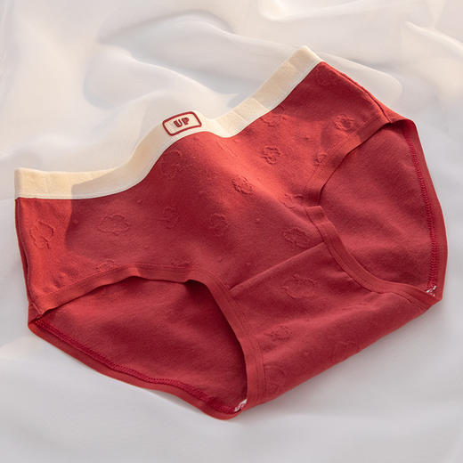 【“红”运当头❗️第二件0元！】本命年安可拉红少女内裤 A类婴儿棉内裤 女7A抗菌裆纯棉少女三角裤 商品图7