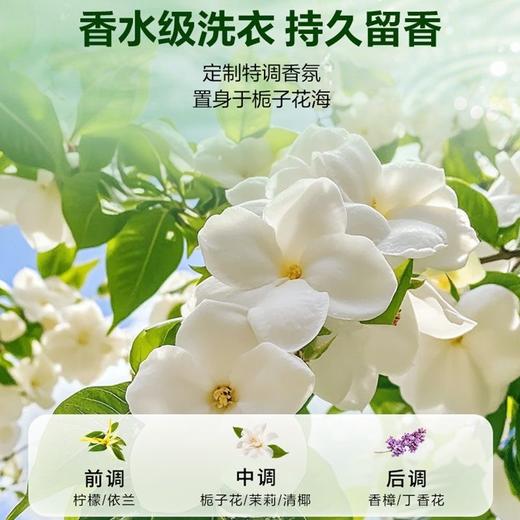 绿伞洗衣粉10斤大袋栀子花香超强去污除菌除螨香水香氛持久留香洗衣粉 商品图10