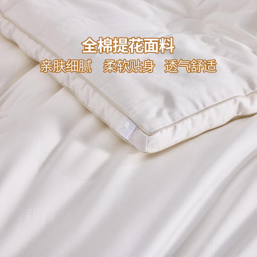多喜爱 植蕴大豆亲肤被/加厚冬被/拉链子母被【大豆纤维】【全棉提花面料】【科学配比】【柔软舒适】多款厚度 精美绗缝 绣花&K线工艺 商品图2