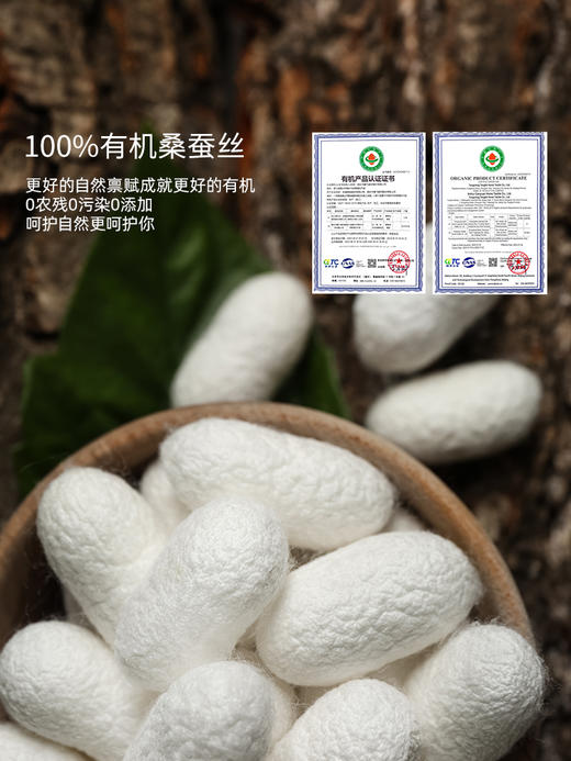 佳丽斯蚕丝被100桑蚕丝官方旗舰店正品被子四季通用被芯2025新款 商品图2