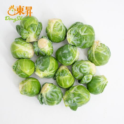 孢子甘蓝250g 新鲜小包菜卷心菜 爽脆清甜沙拉广东蔬菜新鲜配送 商品图1