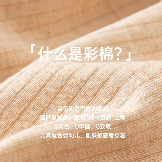 【男款】新疆10A抑菌彩棉亲肤男士平角内裤（三条装）透气不闷汗，天然无污染更安全，不挑身材 商品图1