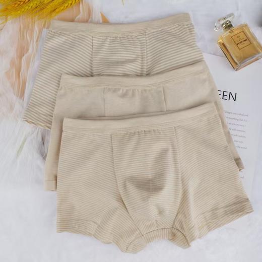 【儿童款】新疆10A抑菌彩棉亲肤儿童女三角内裤/儿童男平角内裤（三条装）透气不闷汗，中腰护腰不露边，不挑身材 商品图4