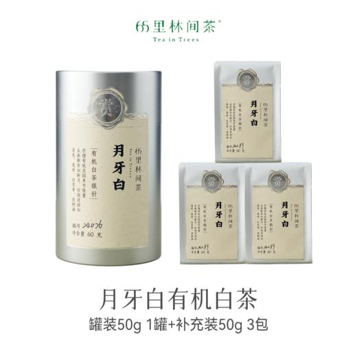 赏丨2024年月牙白 有机白茶 银罐60g 1罐+补充装3包180g  共240g 商品图0