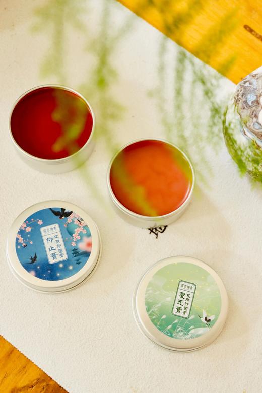 皮肤抑菌膏（1型-原仰止膏，2型-原复元膏） 商品图2