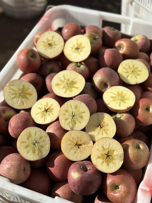 【大凉山丑苹果】我很丑，可是我很甜啊！ 在“颜值即正义”的时代里 却有一种丑苹果让大家心心念念-XD 商品图12