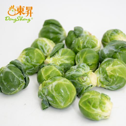 孢子甘蓝250g 新鲜小包菜卷心菜 爽脆清甜沙拉广东蔬菜新鲜配送 商品图2