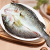 北海湾开背鲈鱼 商品缩略图0