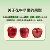甘肃天水地理标志 花牛苹果 4.5斤-8.5斤装 粉面沙甜老人宝宝辅食 商品缩略图5