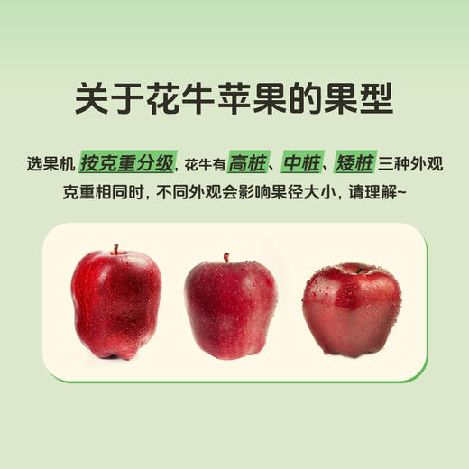 甘肃天水地理标志 花牛苹果 4.5斤-8.5斤装 粉面沙甜老人宝宝辅食 商品图5
