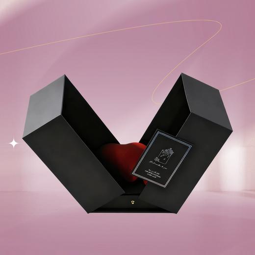 心心相印【动物奶油生日蛋糕W】 商品图3