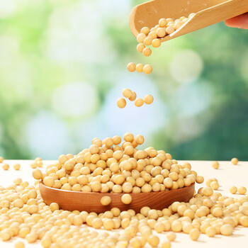 燕之坊有机黄豆500g 黑龙43黄豆 打豆浆儿童早餐杂粮 /粮油调味 /杂粮 /杂豆类 商品图0