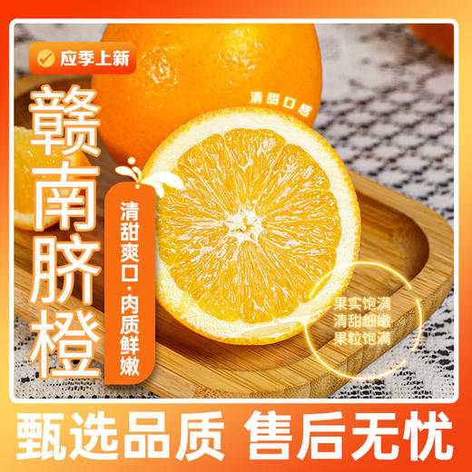 【江西好物】赣南脐橙  4.5斤/9斤 商品图0