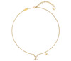YS19-驴家logo满钻 金属水晶项链金色（JM*MM） 商品缩略图0