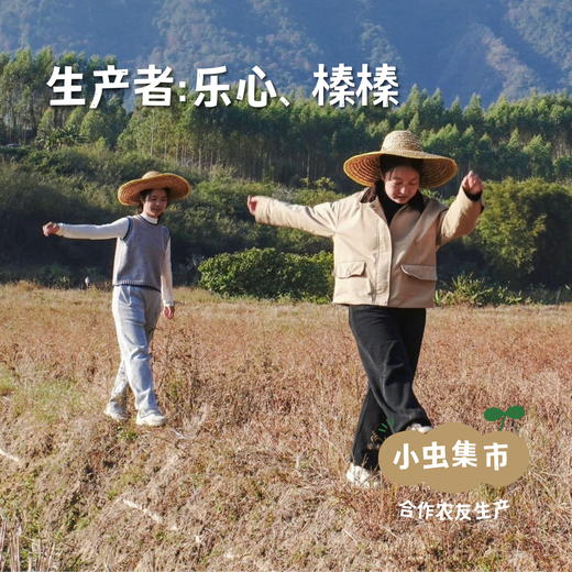 有机洛神花干 50g/袋 | 合作农友生产，来自广东清远，生产者：乐心、榛榛 *【公平贸易农人定价】 商品图3