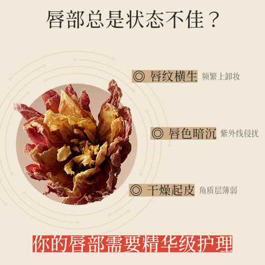 植物润泽唇膏 五重植物能量润泽唇部 拒绝秋冬唇部脱皮细纹  国韵润精华润唇膏4g*2支 商品图1