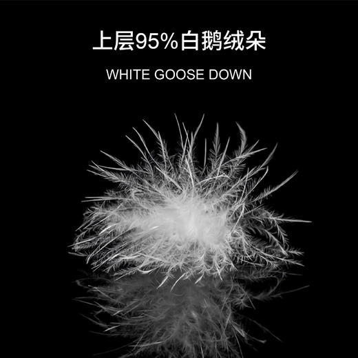 四季尊享鹅绒复合枕-HS 商品图4