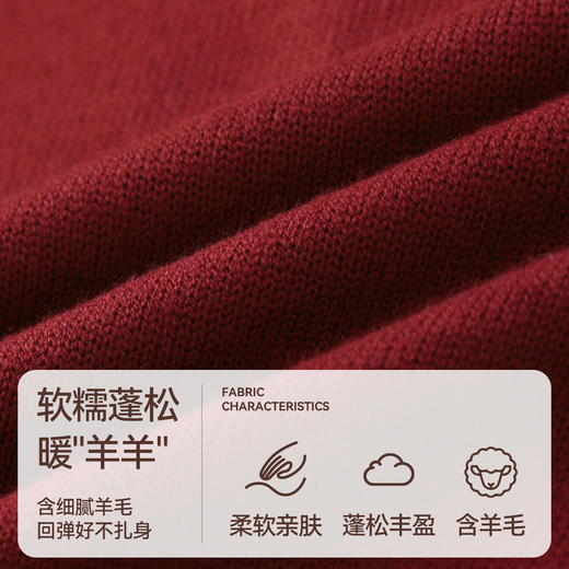 【含羊毛/暖暖毛衣】男女童中领长袖针织衫冬季新款安奈儿童装EM544632 商品图3