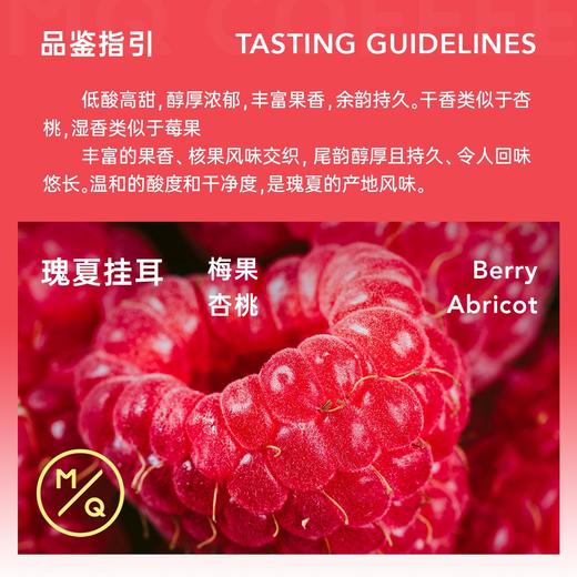 【买1送1】白熊联名明谦瑰夏咖啡豆礼盒黑咖啡手冲挂耳美式咖啡 商品图1