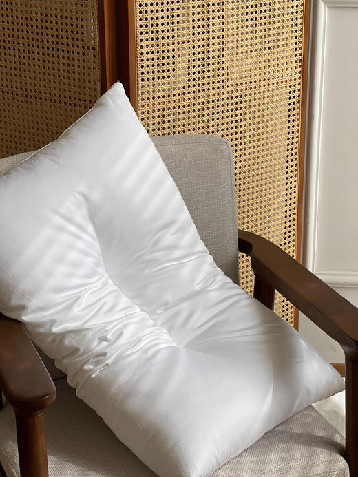 运动员纯正日本枕芯  ✅定制三防功能面料，防水，防油，防污  ✅面料100%全棉，软糯，亲肤，扎实  ✅高端织法，高支高密羽绒被同款面料  ✅超微细纤维填充，一秒回弹软蓬又支撑 商品图0