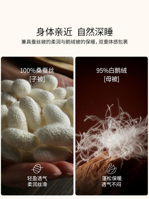 佳丽斯蚕丝羽绒子母被二合一拉链款冬被95白鹅绒被子被芯四季通用 商品图10