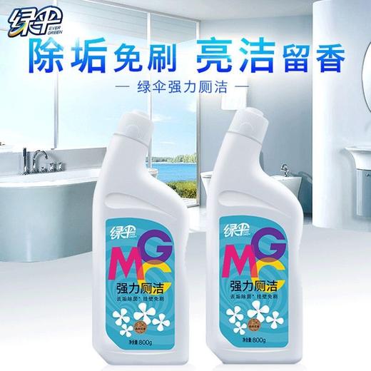 绿伞强力厕洁灵800g瓶 马桶清洁剂卫生间强力除垢洁厕液 商品图2