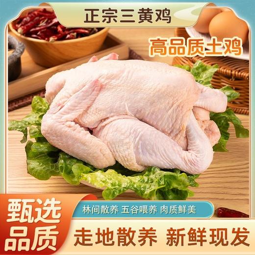 热卖中！！顺丰发货！【CCTV采访 真助农真品质】狼牙山农家散养生态珍禽（鸡鸭鹅）现宰现杀 商品图3