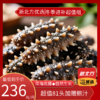 底播高口鲜食海参冬季进补超值组 商品缩略图0