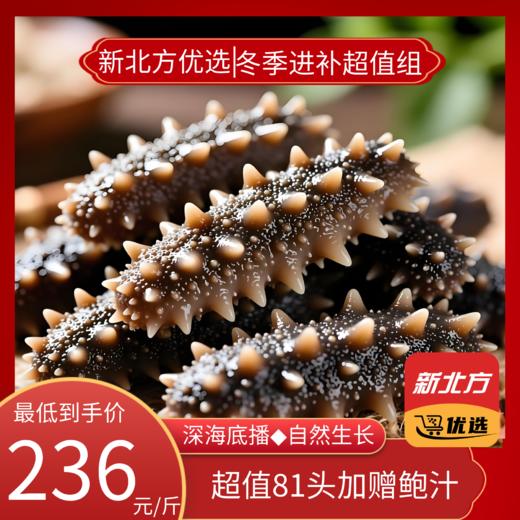 底播高口鲜食海参冬季进补超值组 商品图0