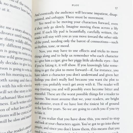 写作课 一只鸟接着一只鸟写就对了 英文原版 Bird by Bird 写作与生活指南 英文版进口原版英语书籍 Anne Lamott 商品图3