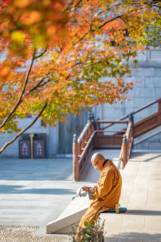 11.26确定出发【秋摄•枫林江浙】莫干山•八都岕•天平山•留園•濮院六天 商品图13