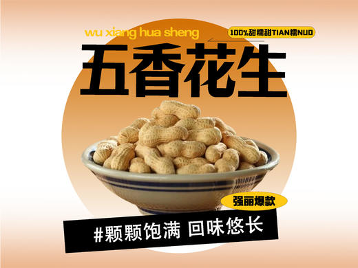 【强丽】 优质五香花生 商品图0