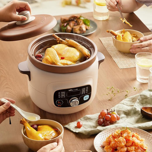 小熊（Bear）电炖锅 紫砂内胆紫砂炖汤锅微电脑煲粥熬粥煮粥锅炖锅煲汤锅DDG-D40X9 商品图4