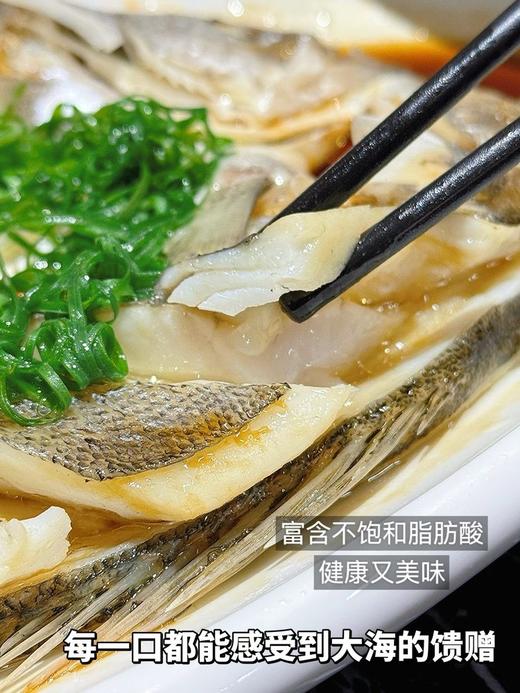 北海湾开背鲈鱼 商品图5