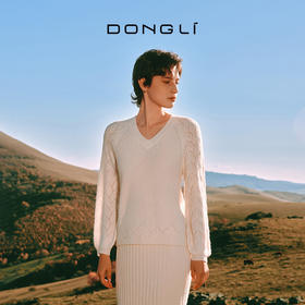 东黎 • 你本珍贵 山羊绒女士秋季麻花V领套衫 WSR-20S53