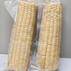 小时候的味道【内蒙敖汉非转基因香糯玉米】 0 农残！ 0化肥！ 0防腐 ！0添加！优质品种 甜糯口感 5小时鲜制 营养型好玉米 香甜口感  软嫩弹牙内蒙沙土地有机种 商品缩略图2