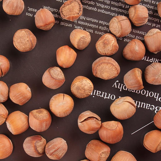 【长白山脚下野生，香脆过瘾】东北林区榛子500g/袋， 颗颗饱满 商品图7