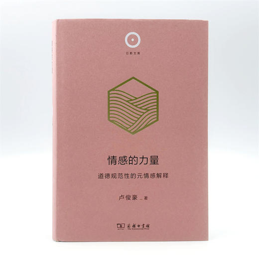 情感的力量：道德规范性的元情感解释(日新文库) 商品图3