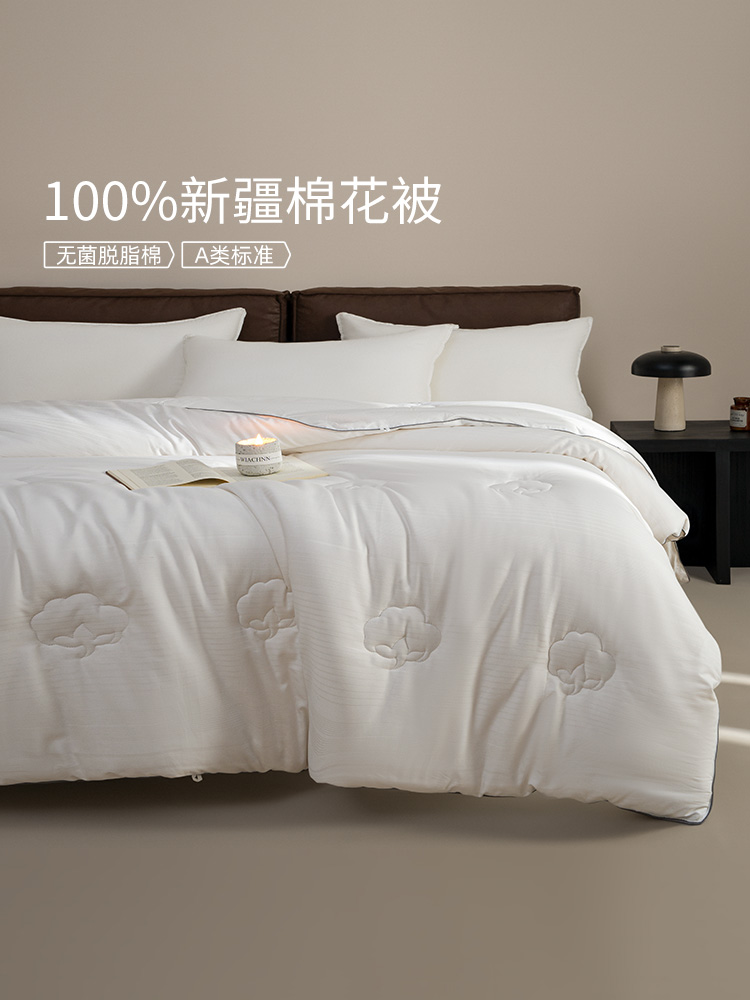 佳丽斯棉被冬加厚100纯棉新疆棉花被芯棉絮被子被褥冬用2025新款