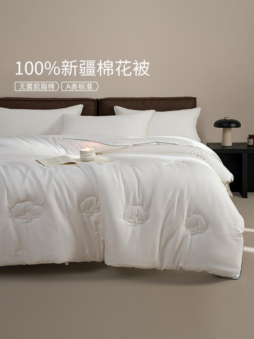 佳丽斯棉被冬加厚100纯棉新疆棉花被芯棉絮被子被褥冬用2025新款 商品图0