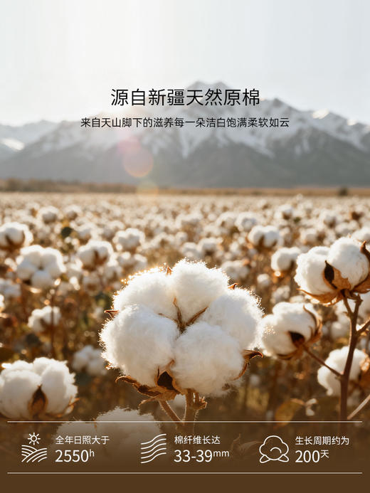 佳丽斯棉被冬加厚100纯棉新疆棉花被芯棉絮被子被褥冬用2025新款 商品图6