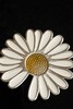 YS16-小雏菊胸针GD同款（XK） 商品缩略图7