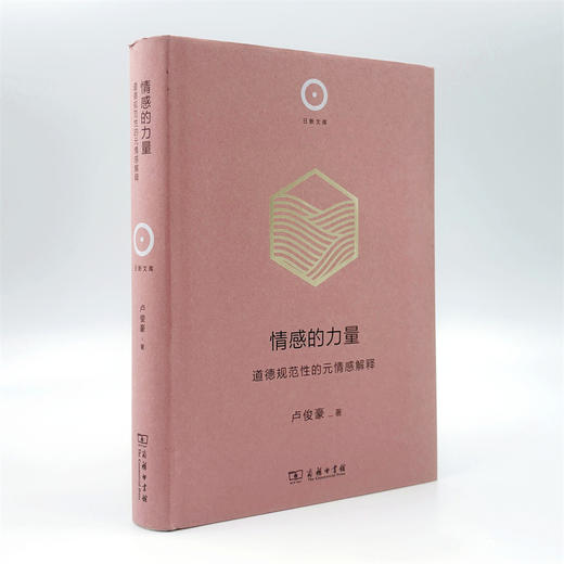 情感的力量：道德规范性的元情感解释(日新文库) 商品图5