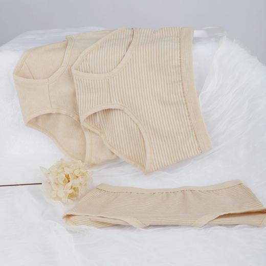 新疆彩棉女童儿童内裤 天然柔软三条装 商品图0