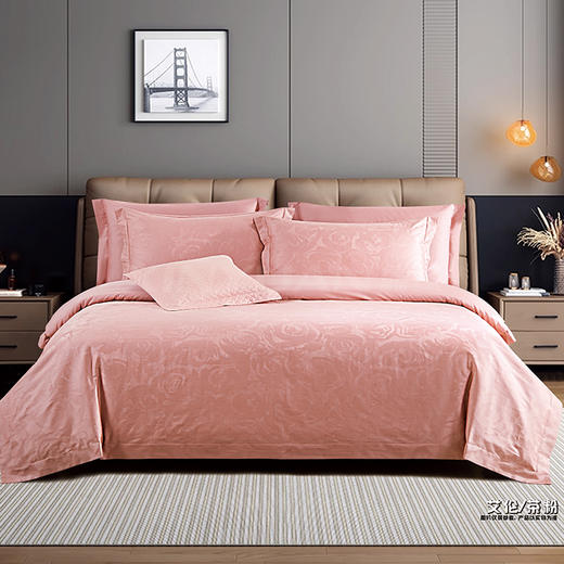 鑫缘 全棉提花四件套 DMJ4418 商品图5