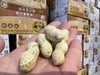 陈皮味花生 颗粒饱满匀称 壳薄味香  香脆可口 商品缩略图1