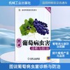 图说葡萄病虫害诊断与防治 商品缩略图0