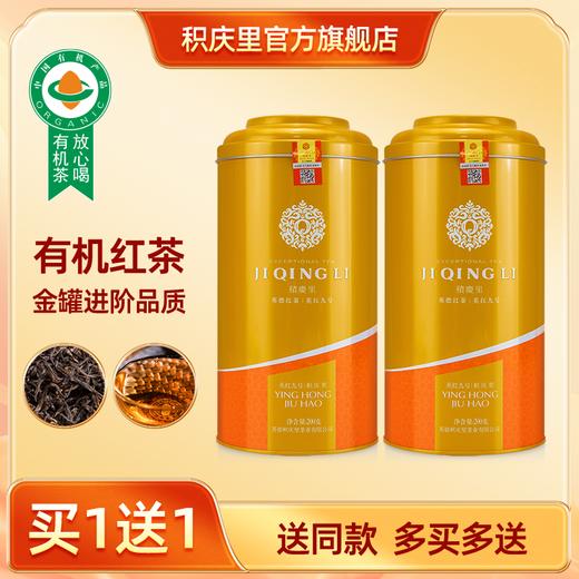【买1送1同款】醇金 英红九号 茶叶 200g 商品图0