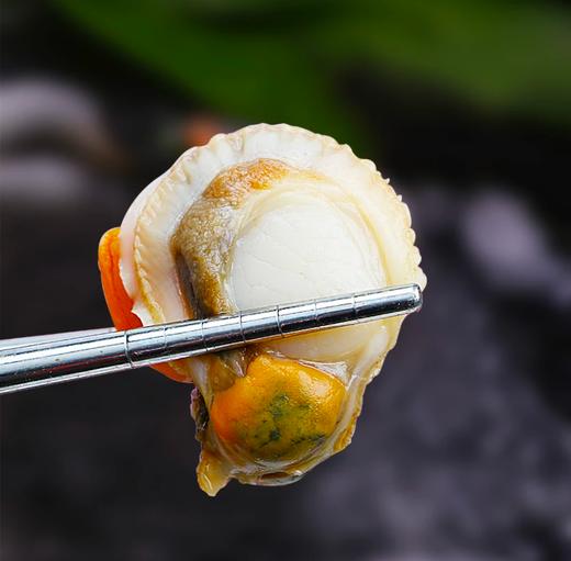 北海湾鲜剥扇贝肉 商品图3