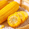 【白城供销】正宗东北白供绿农鲜食玉米真空装 商品缩略图1